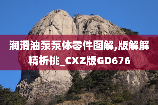 润滑油泵泵体零件图解,版解解精析挑_CXZ版GD676