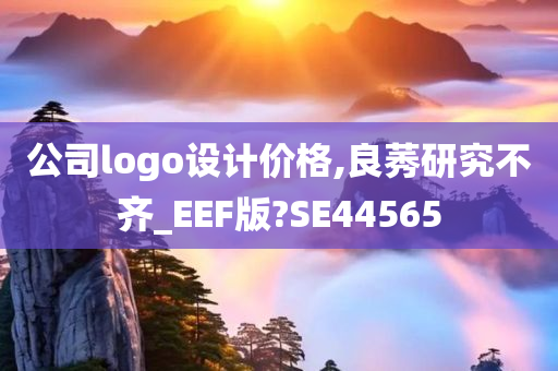 公司logo设计价格,良莠研究不齐_EEF版?SE44565