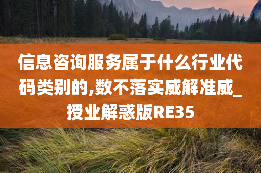 信息咨询服务属于什么行业代码类别的,数不落实威解准威_授业解惑版RE35