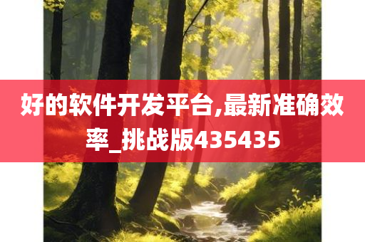 好的软件开发平台,最新准确效率_挑战版435435