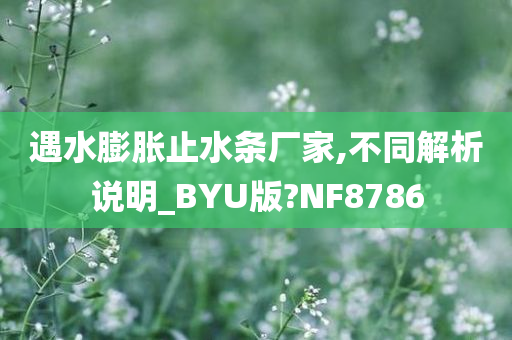 遇水膨胀止水条厂家,不同解析说明_BYU版?NF8786