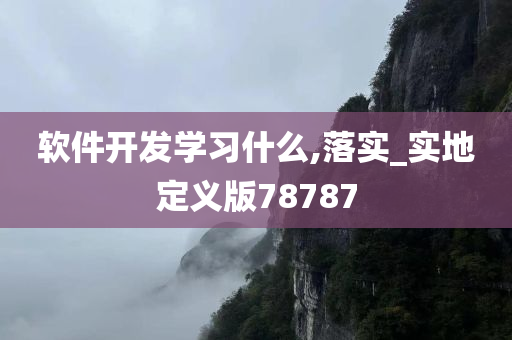 软件开发学习什么,落实_实地定义版78787