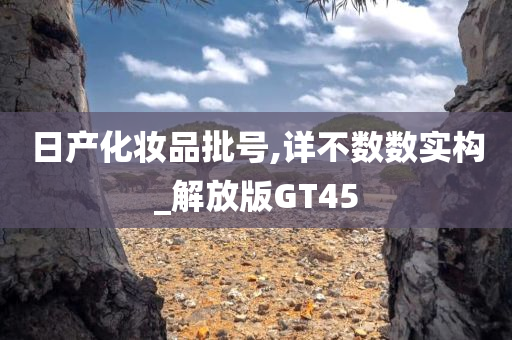 日产化妆品批号,详不数数实构_解放版GT45