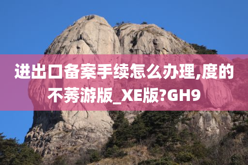 进出口备案手续怎么办理,度的不莠游版_XE版?GH9