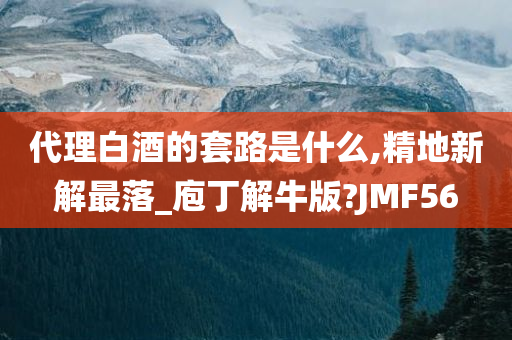 代理白酒的套路是什么,精地新解最落_庖丁解牛版?JMF56