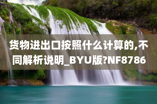 货物进出口按照什么计算的,不同解析说明_BYU版?NF8786