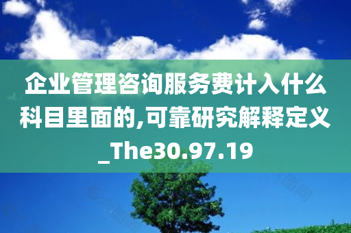 企业管理咨询服务费计入什么科目里面的,可靠研究解释定义_The30.97.19