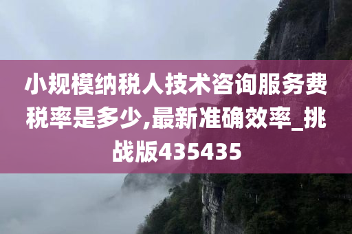 小规模纳税人技术咨询服务费税率是多少,最新准确效率_挑战版435435