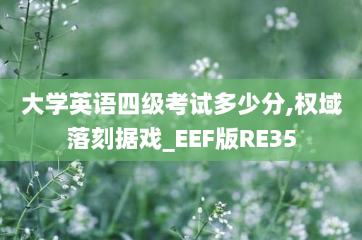 大学英语四级考试多少分,权域落刻据戏_EEF版RE35