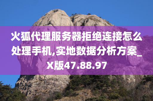 火狐代理服务器拒绝连接怎么处理手机,实地数据分析方案_X版47.88.97