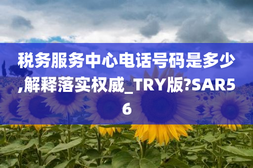 税务服务中心电话号码是多少,解释落实权威_TRY版?SAR56