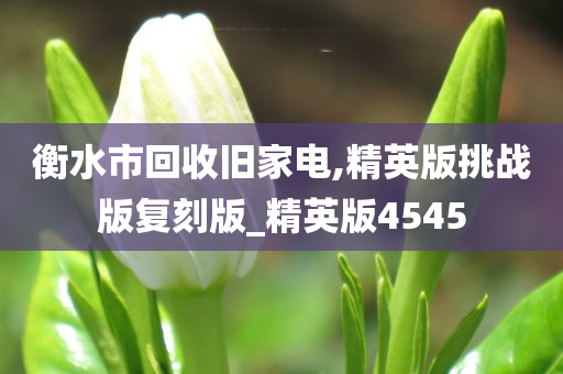 衡水市回收旧家电,精英版挑战版复刻版_精英版4545