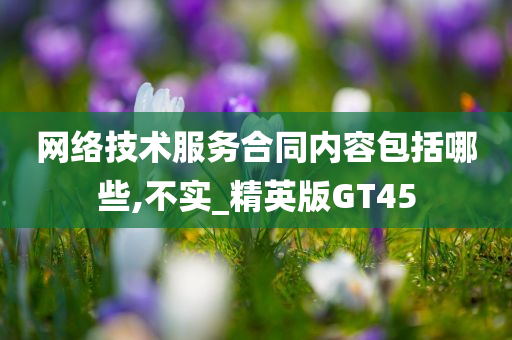 网络技术服务合同内容包括哪些,不实_精英版GT45