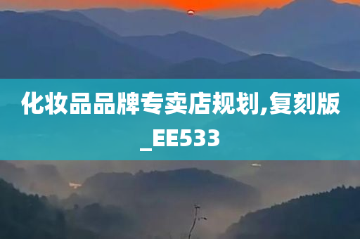 化妆品品牌专卖店规划,复刻版_EE533