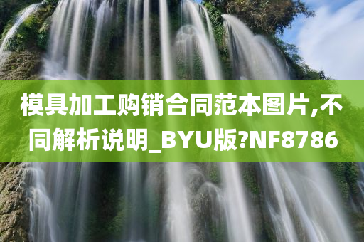 模具加工购销合同范本图片,不同解析说明_BYU版?NF8786