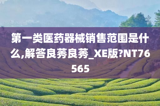 第一类医药器械销售范围是什么,解答良莠良莠_XE版?NT76565