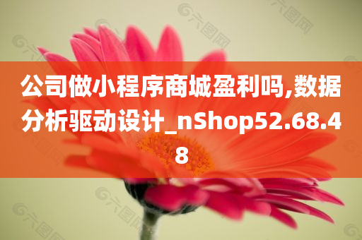 公司做小程序商城盈利吗,数据分析驱动设计_nShop52.68.48