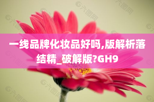 一线品牌化妆品好吗,版解析落结精_破解版?GH9