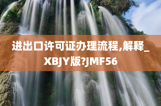 进出口许可证办理流程,解释_XBJY版?JMF56