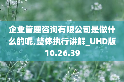 企业管理咨询有限公司是做什么的呢,整体执行讲解_UHD版10.26.39