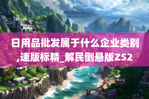 日用品批发属于什么企业类别,速版标精_解民倒悬版ZS2