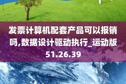 发票计算机配套产品可以报销吗,数据设计驱动执行_运动版51.26.39