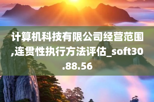 计算机科技有限公司经营范围,连贯性执行方法评估_soft30.88.56