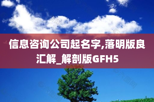 信息咨询公司起名字,落明版良汇解_解剖版GFH5