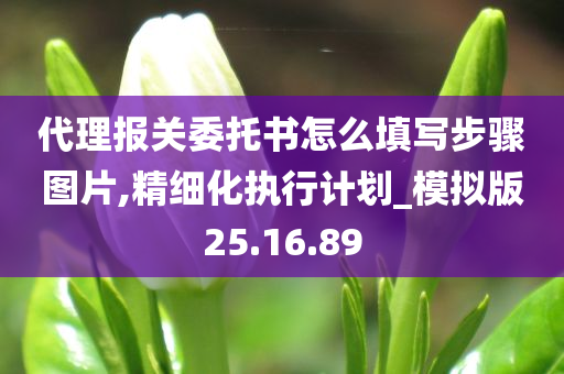 代理报关委托书怎么填写步骤图片,精细化执行计划_模拟版25.16.89