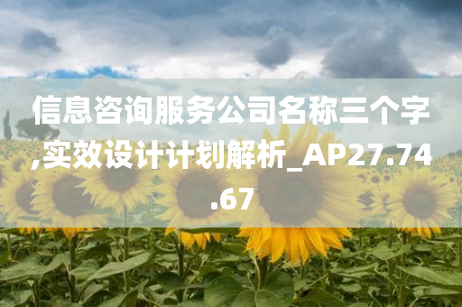 信息咨询服务公司名称三个字,实效设计计划解析_AP27.74.67