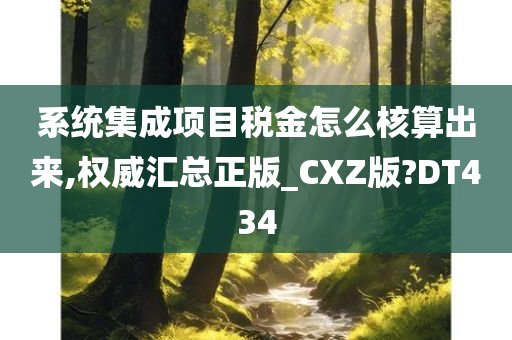 系统集成项目税金怎么核算出来,权威汇总正版_CXZ版?DT434