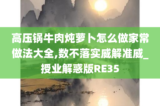 高压锅牛肉炖萝卜怎么做家常做法大全,数不落实威解准威_授业解惑版RE35