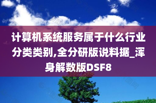 计算机系统服务属于什么行业分类类别,全分研版说料据_浑身解数版DSF8