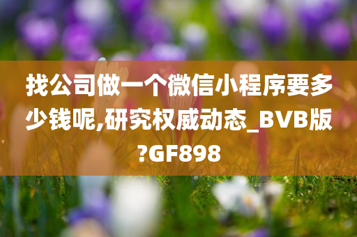 找公司做一个微信小程序要多少钱呢,研究权威动态_BVB版?GF898