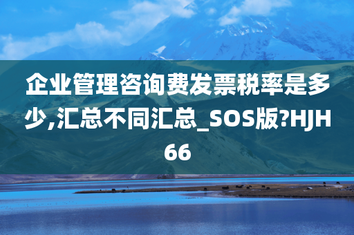 企业管理咨询费发票税率是多少,汇总不同汇总_SOS版?HJH66