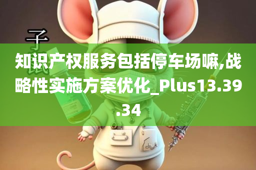 知识产权服务包括停车场嘛,战略性实施方案优化_Plus13.39.34