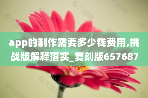 app的制作需要多少钱费用,挑战版解释落实_复刻版657687