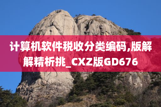 计算机软件税收分类编码,版解解精析挑_CXZ版GD676