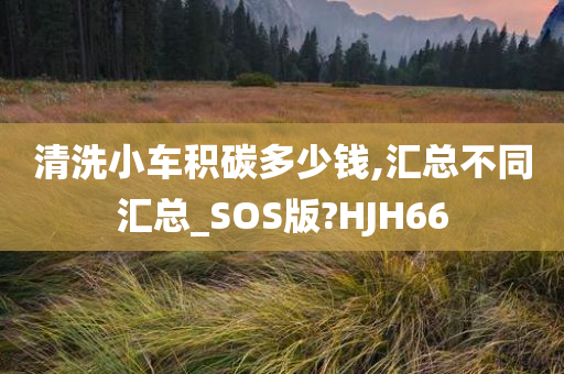 清洗小车积碳多少钱,汇总不同汇总_SOS版?HJH66