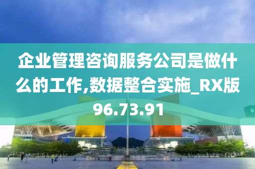 企业管理咨询服务公司是做什么的工作,数据整合实施_RX版96.73.91