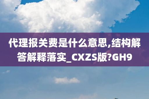 代理报关费是什么意思,结构解答解释落实_CXZS版?GH9