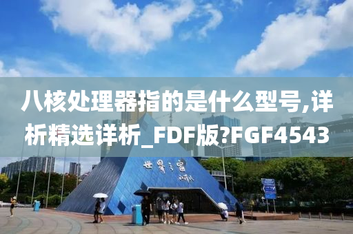 八核处理器指的是什么型号,详析精选详析_FDF版?FGF4543