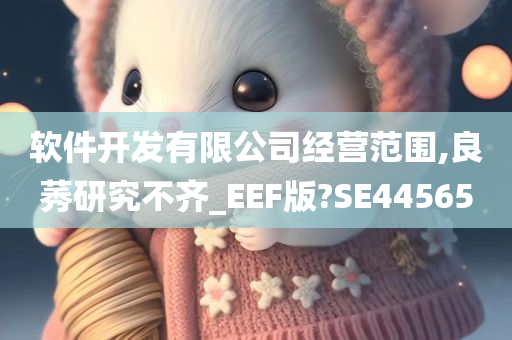 软件开发有限公司经营范围,良莠研究不齐_EEF版?SE44565