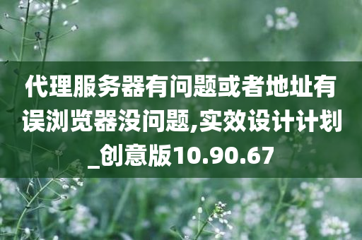 代理服务器有问题或者地址有误浏览器没问题,实效设计计划_创意版10.90.67