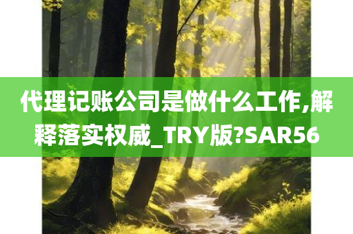 代理记账公司是做什么工作,解释落实权威_TRY版?SAR56