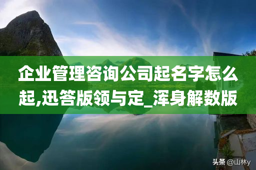 企业管理咨询公司起名字怎么起,迅答版领与定_浑身解数版