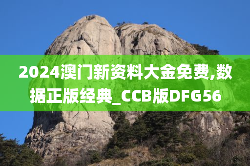 2024澳门新资料大金免费,数据正版经典_CCB版DFG56