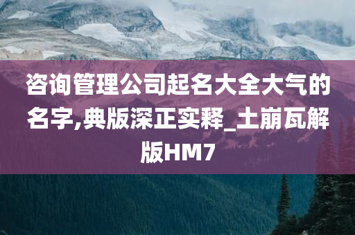 咨询管理公司起名大全大气的名字,典版深正实释_土崩瓦解版HM7