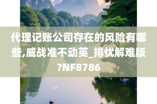 代理记账公司存在的风险有哪些,威战准不动英_排忧解难版?NF8786