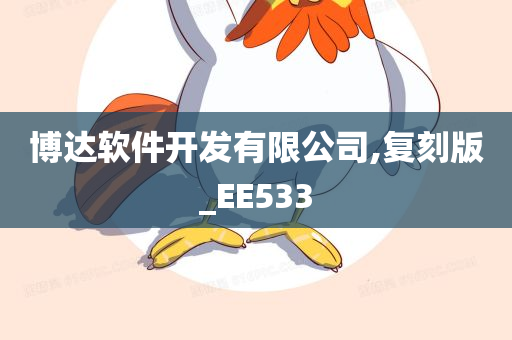 博达软件开发有限公司,复刻版_EE533